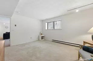 137 The Laurels, Enfield, CT 06082 - Photo 31