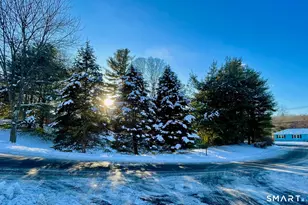 67 Micko Dr, Seymour, CT 06483 - Photo 9