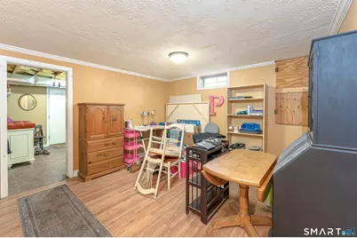 366 Charcoal Avenue, Middlebury, CT 06762 - Photo 29