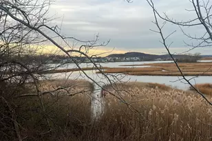 924 Quinnipiac Ave, New Haven, CT 06513 - Photo 29