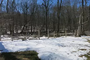 71 Schulman Veslak Rd, East Haddam, CT 06423 - Photo 9