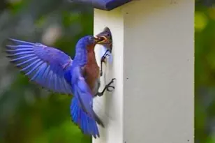 47 Johnson Rd, Kent, CT 06757 - Photo 39