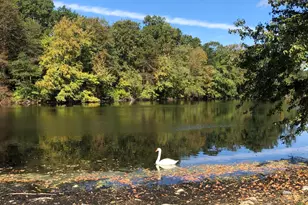 202 Fox Ridge Rd, Stamford, CT 06903 - Photo 33