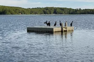 27 Dilliston Rd, New Hartford, CT 06057 - Photo 39