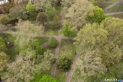 556 Chapel Street #APT 3, New Haven, CT 06511 - Photo 17