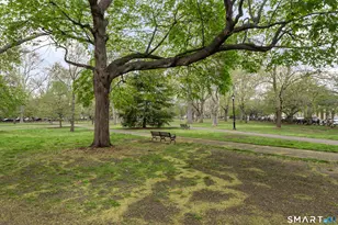 556 Chapel St, New Haven, CT 06511 - Photo 19