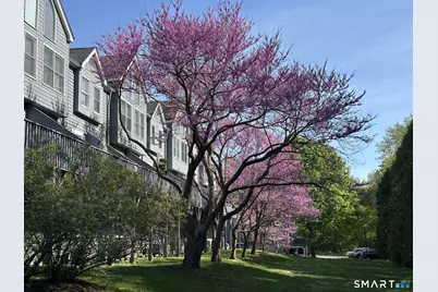 16 Fawn Ridge Lane #16, Wilton, CT 06897 - Photo 35