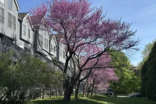 16 Fawn Ridge Ln, Wilton, CT 06897 - Photo 35