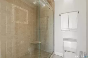 10 Briarwood Ln, Newtown, CT 06470 - Photo 27