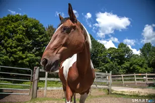 473 Evergreen Rd, Torrington, CT 06790 - Photo 35