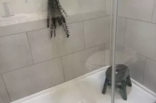 51 Old Springfield Rd, Stafford, CT 06076 - Photo 21