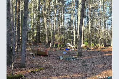 96 Burdick Lane, Griswold, CT 06351 - Photo 3