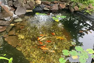 153 Country Club Rd, Middletown, CT 06457 - Photo 35