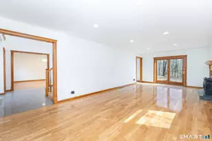 248 White Birch Rd, East Hampton, CT 06424 - Photo 11