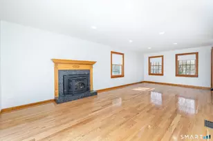 248 White Birch Rd, East Hampton, CT 06424 - Photo 9