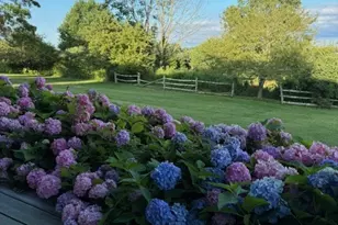 187 Old Mt Tom Rd, Litchfield, CT 06750 - Photo 23