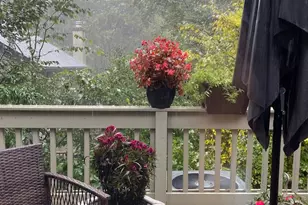 24 Fox Run, Woodbury, CT 06798 - Photo 13