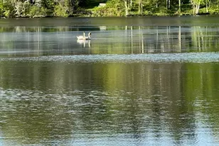 24 Fox Run, Woodbury, CT 06798 - Photo 29