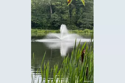 24 Fox Run, Woodbury, CT 06798 - Photo 27