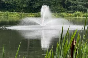 24 Fox Run, Woodbury, CT 06798 - Photo 27