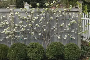 200 Jackman Ave, Fairfield, CT 06825 - Photo 9