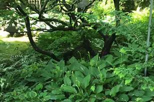 200 Jackman Ave, Fairfield, CT 06825 - Photo 5