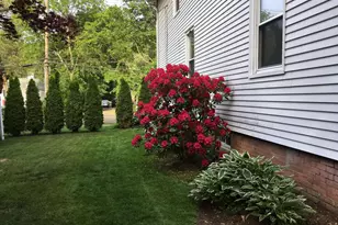 294 Church St, Guilford, CT 06437 - Photo 15