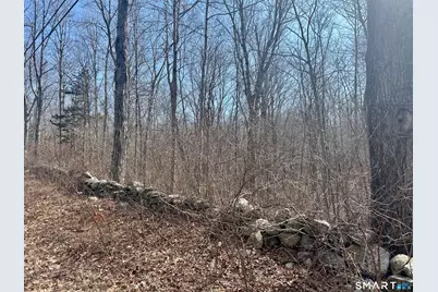 Reilly Road, Hampton, CT 06427 - Photo 7