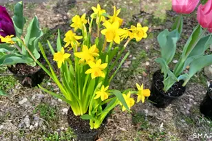 63 Stowe Ave, Milford, CT 06460 - Photo 11