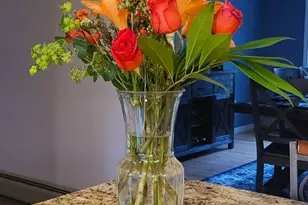 4 Alexandra Dr, New Fairfield, CT 06812 - Photo 27