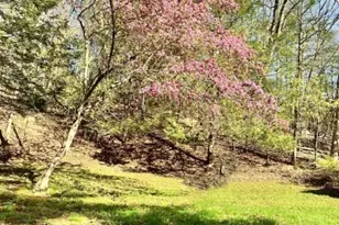 23 Baxter Rd, Willington, CT 06279 - Photo 3