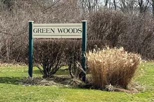 169 Greenwoods Ln, East Windsor, CT 06088 - Photo 35