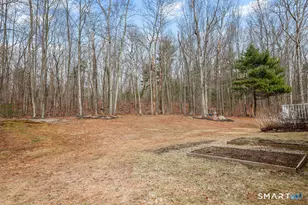 11 Szegda Rd, Columbia, CT 06237 - Photo 37