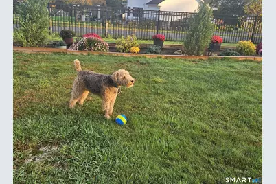 439 Waverly Road, Shelton, CT 06484 - Photo 37