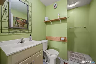 76 Cowles Rd, Woodbury, CT 06798 - Photo 35