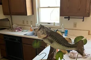 774 Murdock Ave, Meriden, CT 06450 - Photo 3