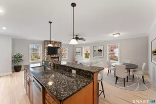 53 Grassy Plain St, Bethel, CT 06801 - Photo 7