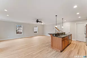 53 Grassy Plain St, Bethel, CT 06801 - Photo 11