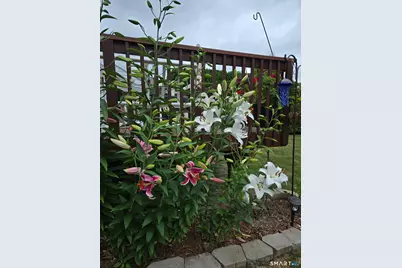 764 Ridge Road, Wethersfield, CT 06109 - Photo 7