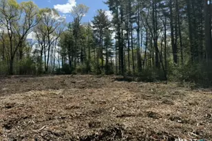 90 Jackson St, Avon, CT 06001 - Photo 3
