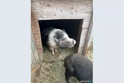 330 Ledge Drive, Torrington, CT 06790 - Photo 21