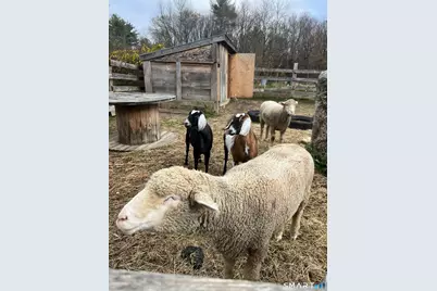 330 Ledge Drive, Torrington, CT 06790 - Photo 25