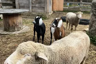 330 Ledge Dr, Torrington, CT 06790 - Photo 25