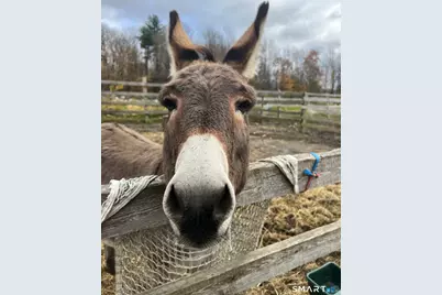 330 Ledge Drive, Torrington, CT 06790 - Photo 23