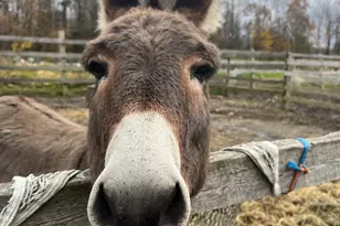 330 Ledge Dr, Torrington, CT 06790 - Photo 23