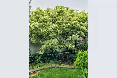 12 Old Saugatuck Road, Norwalk, CT 06855 - Photo 31