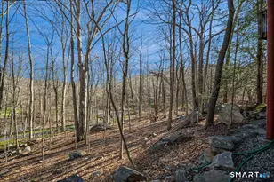 251 Saddle Hill Rd, Stamford, CT 06903 - Photo 33