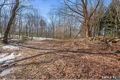 138 Wolcott Road, Plymouth, CT 06786 - Photo 29