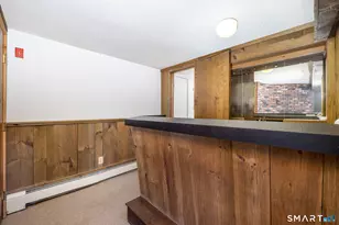 20 W Lakeview Dr, Granby, CT 06035 - Photo 31