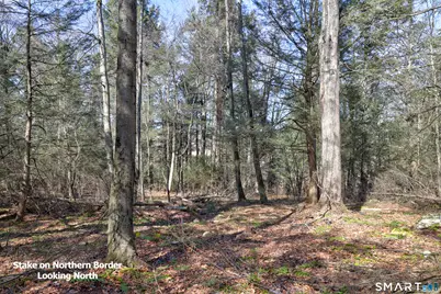 Meadowcrest Drive North, Goshen, CT 06756 - Photo 3